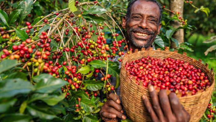 Ethiopia