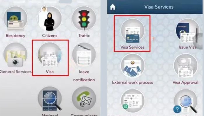 Select visa and then visa services